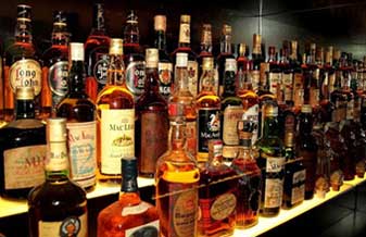Bebidas Orlando - Foto 1