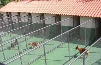 Dog’s Inn Hotel - Foto 1