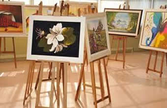 Art Collection Galeria - Foto 1