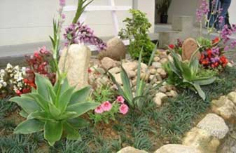 Equilíbrio Jardinagem e Paisagismo - Foto 1