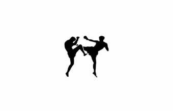 Company Top Fight – Wilson Teodoro - Foto 1